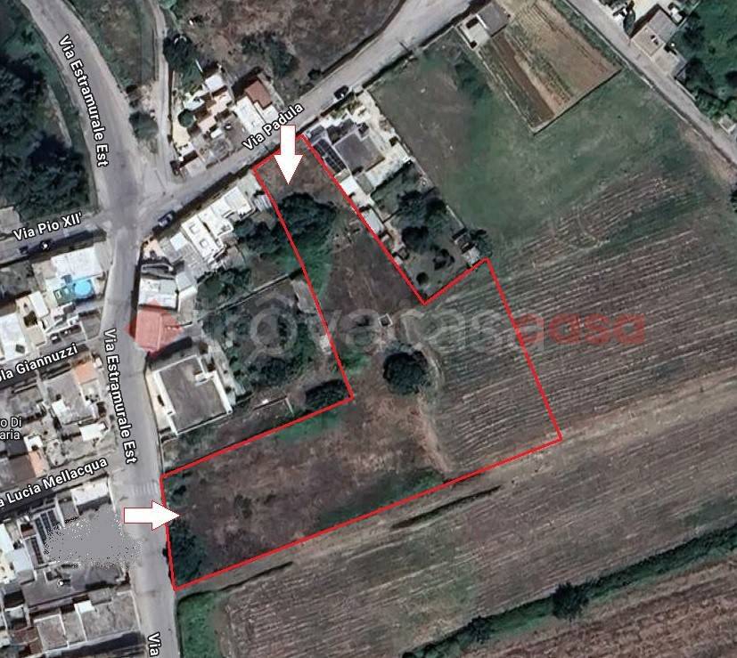 immagine annuncio 6 di 7