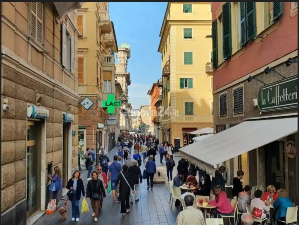 immagine annuncio 2 di 3