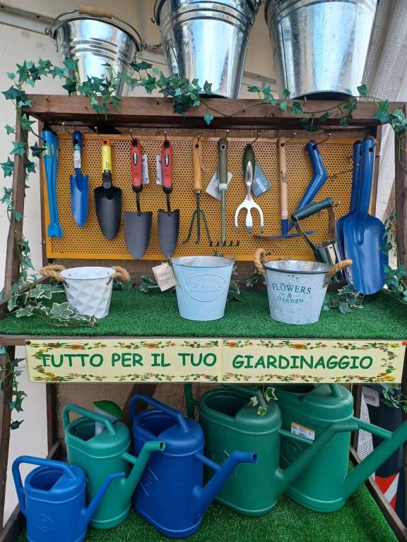 immagine annuncio 9 di 13
