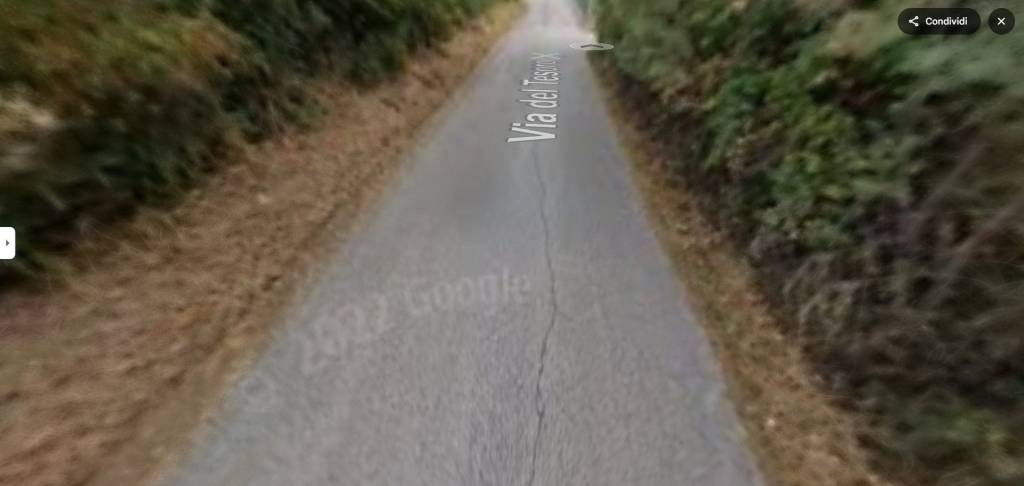 immagine annuncio 6 di 13