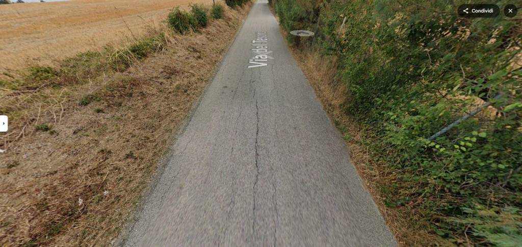 immagine annuncio 11 di 13
