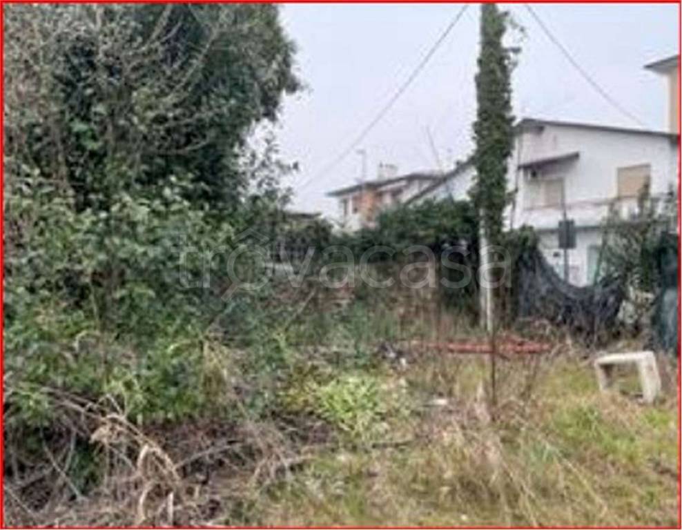immagine annuncio 5 di 14