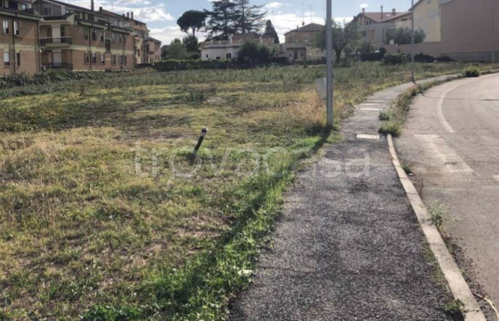 immagine annuncio 4 di 8