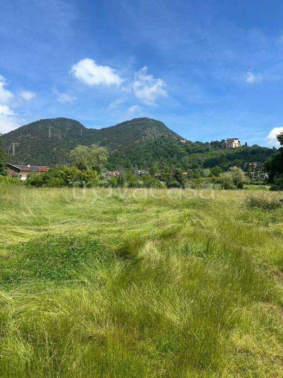 immagine annuncio 5 di 6