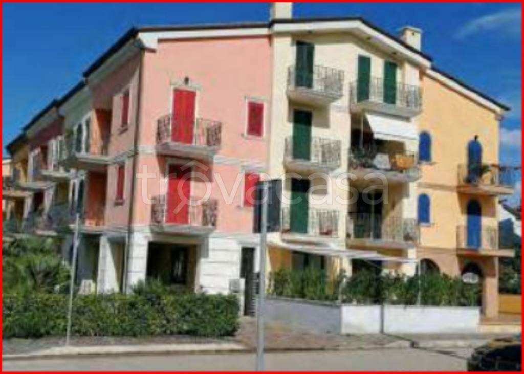 immagine annuncio 2 di 11