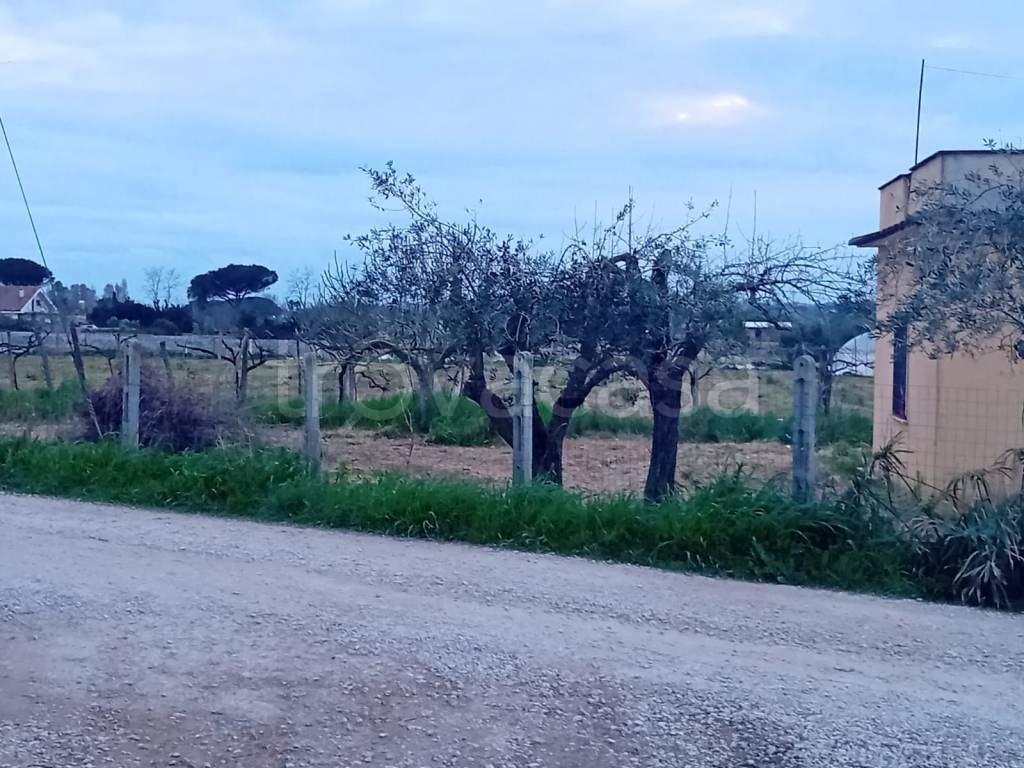 immagine annuncio 1 di 6