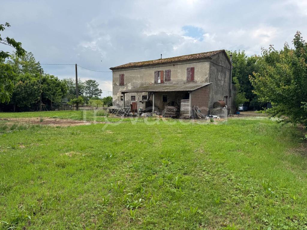 immagine annuncio 3 di 14