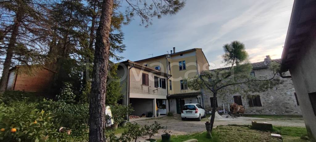 immagine annuncio 9 di 12