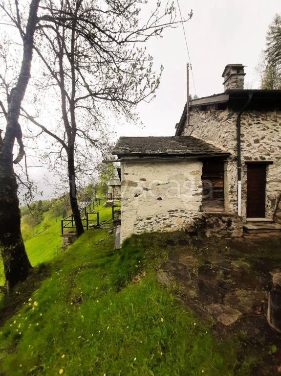 immagine annuncio 1 di 8