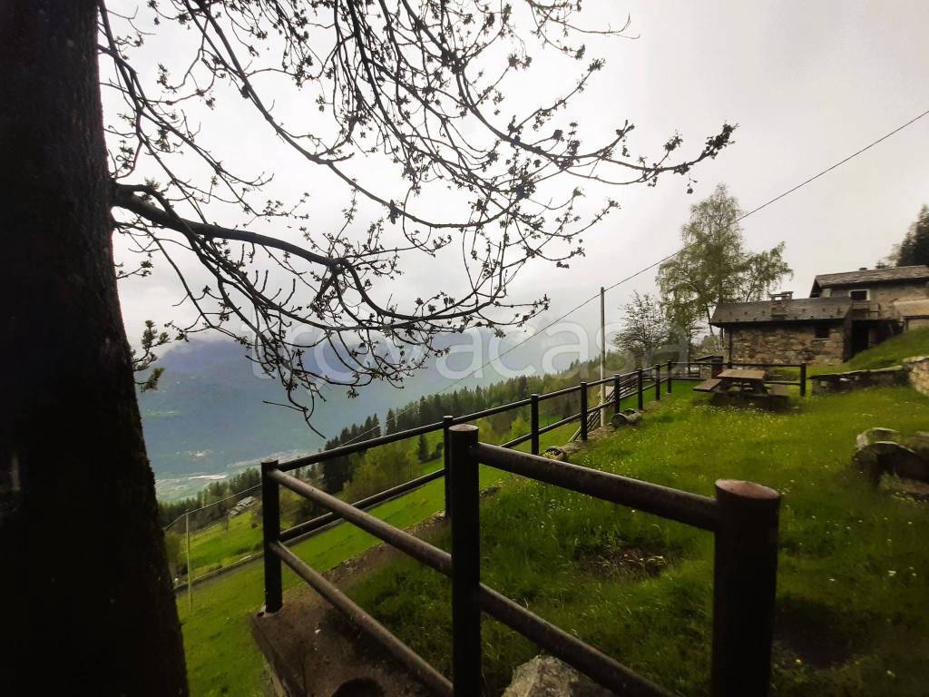 immagine annuncio 6 di 8