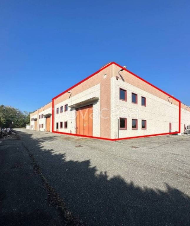 immagine annuncio 10 di 11