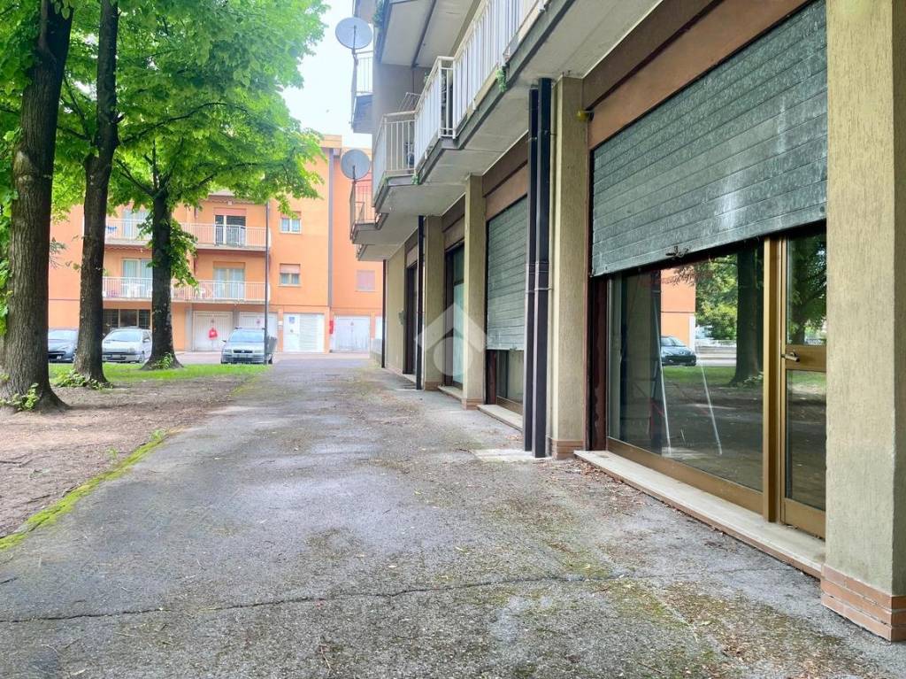 immagine annuncio 2 di 12