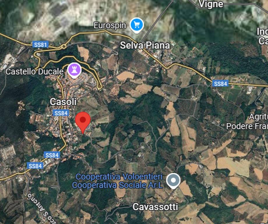 immagine annuncio 2 di 11