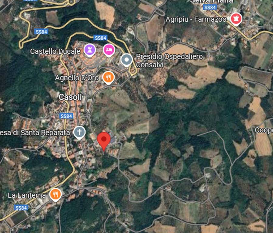 immagine annuncio 4 di 11