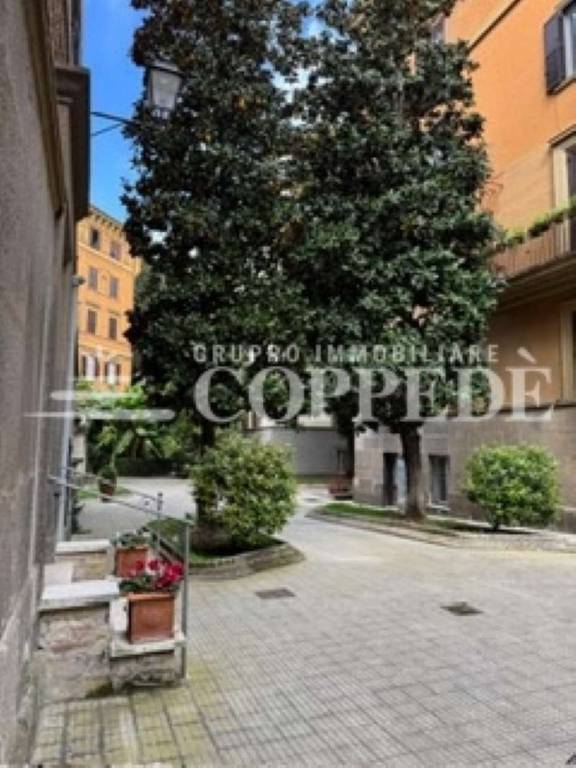 immagine annuncio 4 di 6