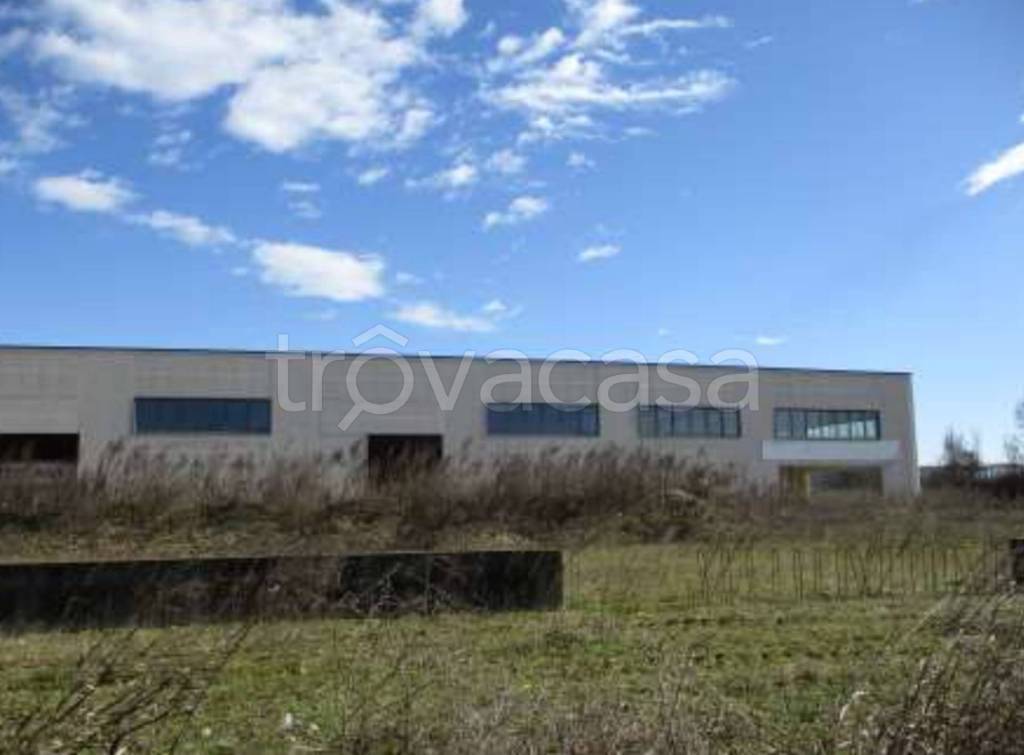 immagine annuncio 6 di 11
