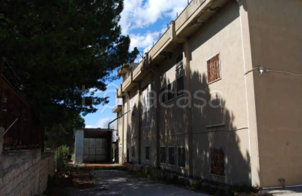 immagine annuncio 8 di 11