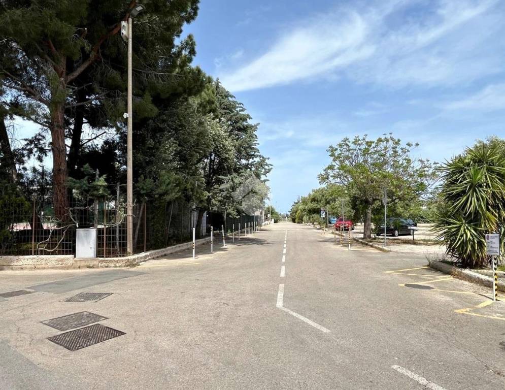 immagine annuncio 2 di 14