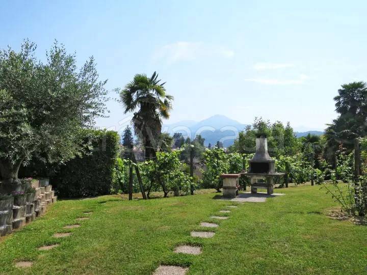 immagine annuncio 3 di 14