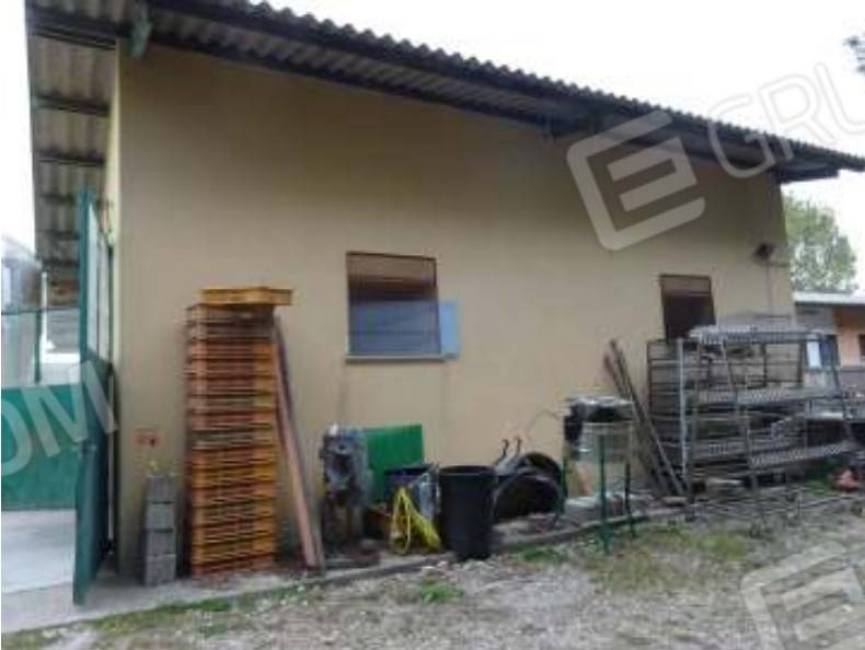 immagine annuncio 5 di 14