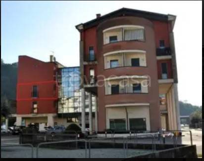 immagine annuncio 9 di 13