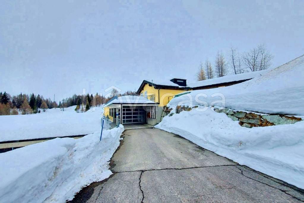 immagine annuncio 14 di 15