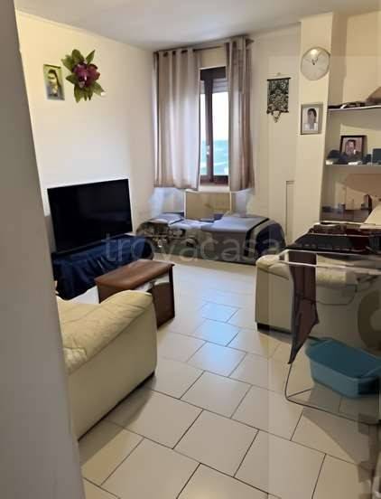 immagine annuncio 2 di 6