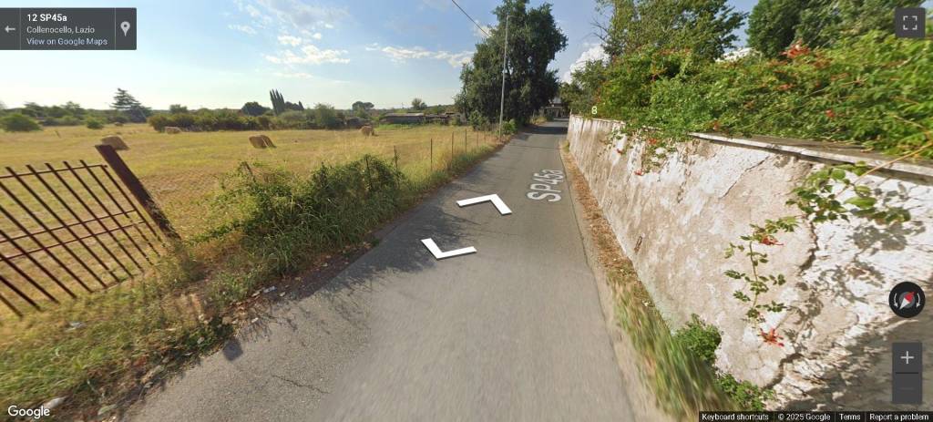 immagine annuncio 11 di 12