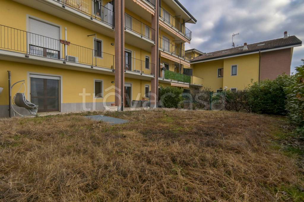 immagine annuncio 1 di 15