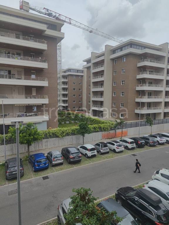 immagine annuncio 11 di 13