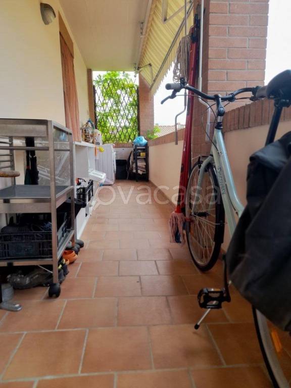 immagine annuncio 10 di 14