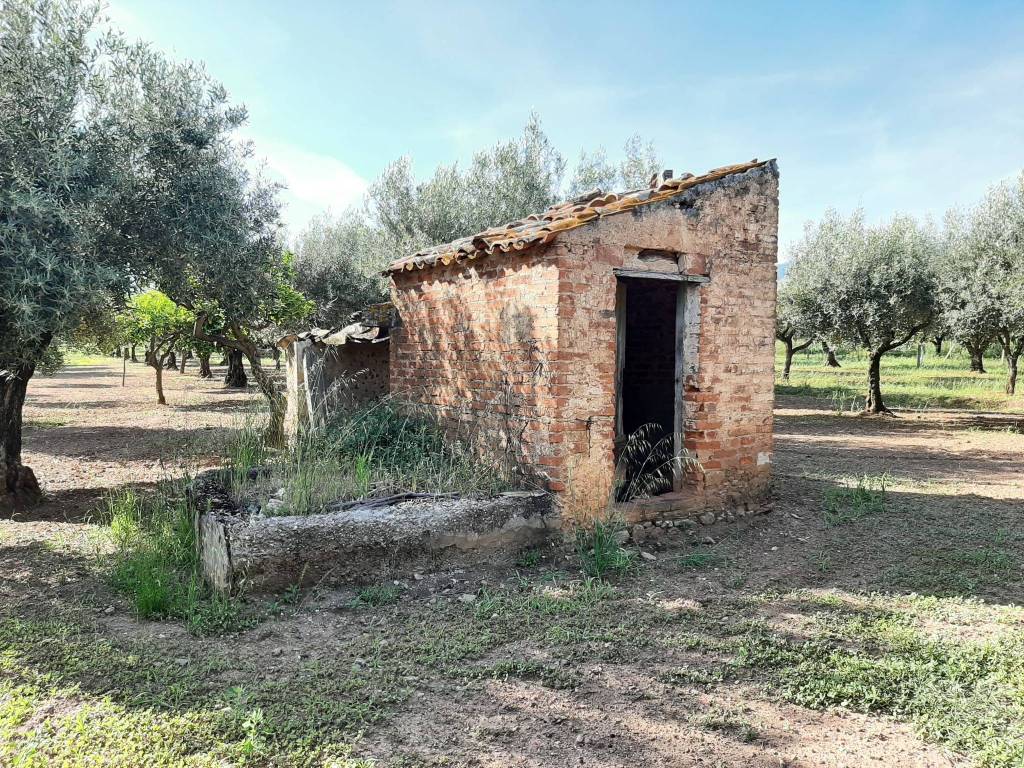 immagine annuncio 4 di 9