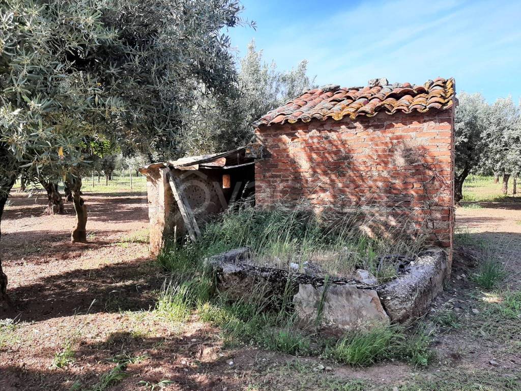 immagine annuncio 5 di 9