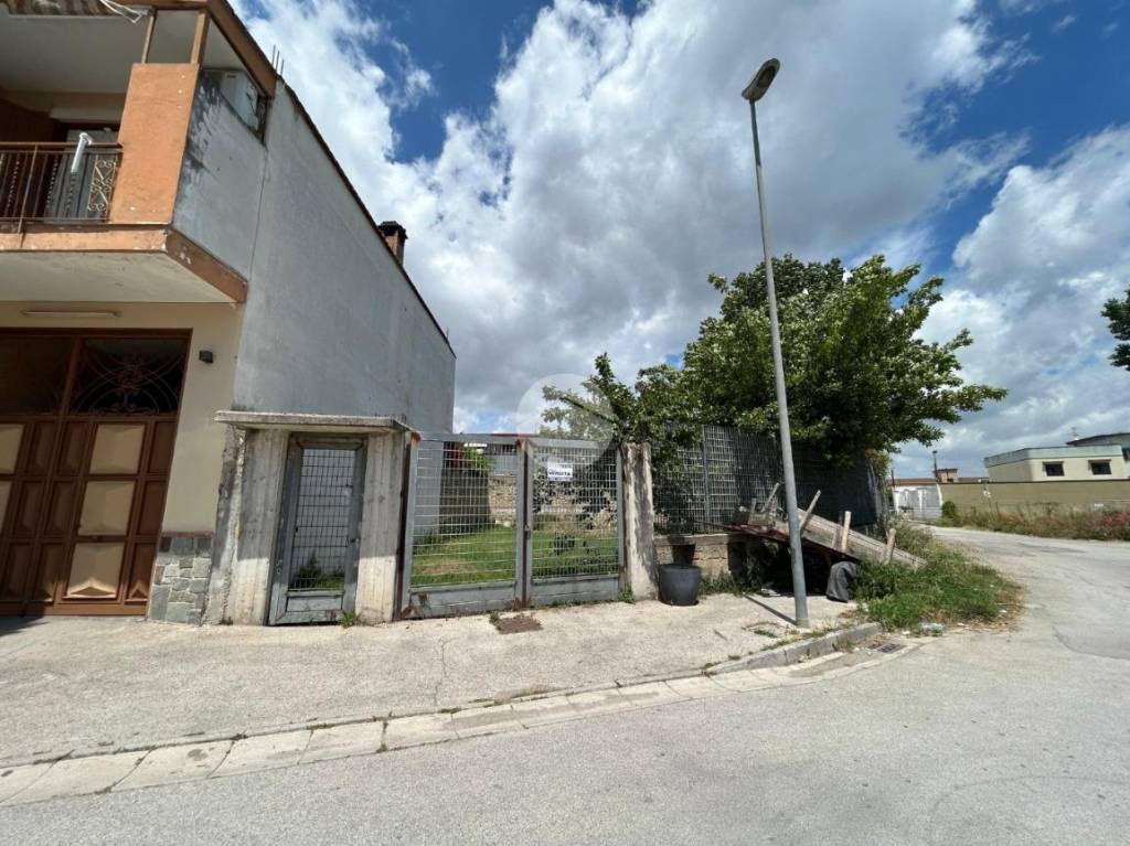 immagine annuncio 5 di 11