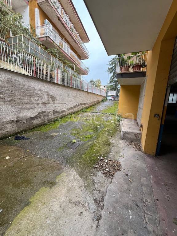 immagine annuncio 1 di 9