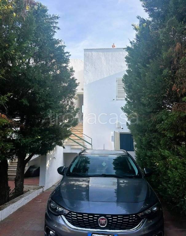 immagine annuncio 12 di 13