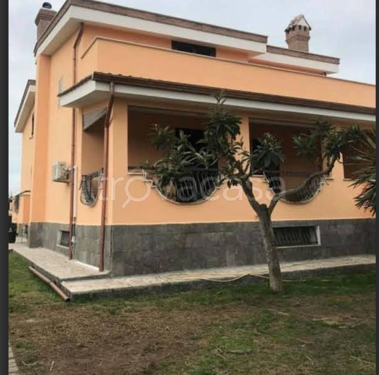 immagine annuncio 4 di 12