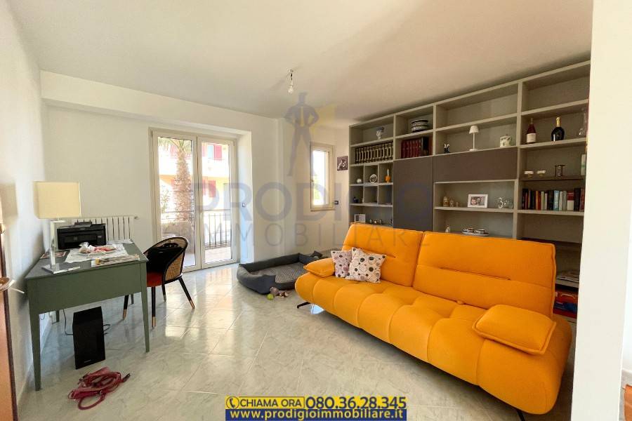 immagine annuncio 6 di 14