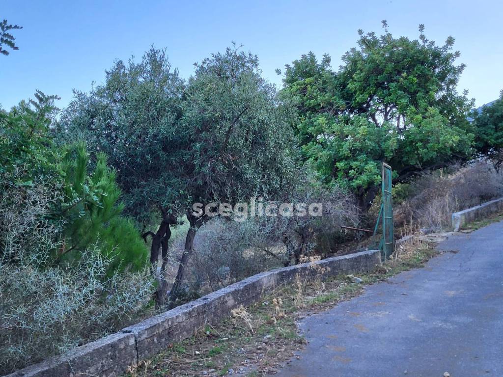 immagine annuncio 7 di 14
