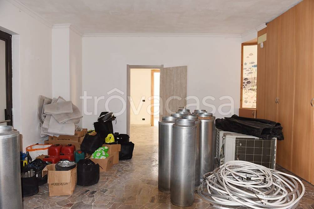 immagine annuncio 12 di 14