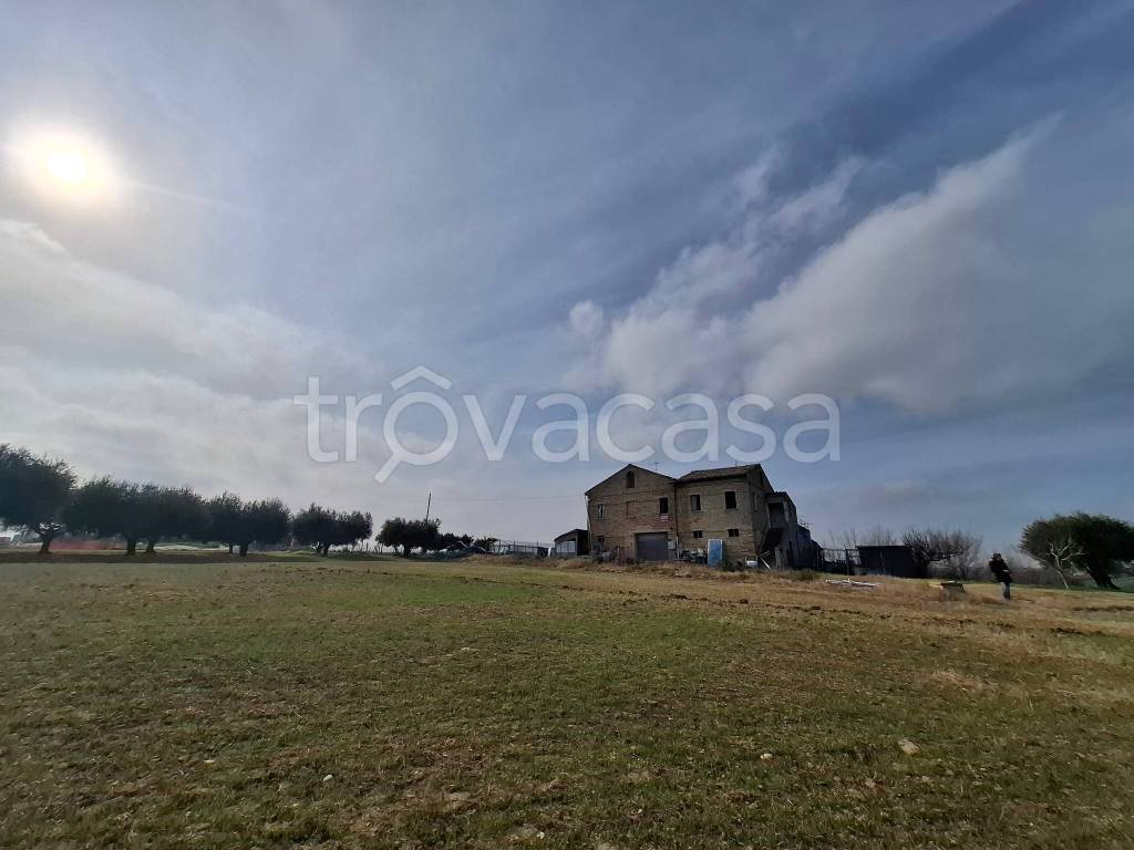 immagine annuncio 8 di 14