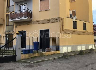 immagine annuncio 1 di 12