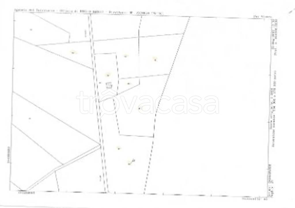 immagine annuncio 9 di 12