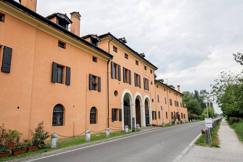 immagine annuncio 12 di 14