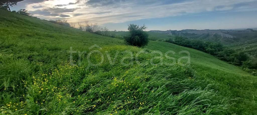 immagine annuncio 2 di 8