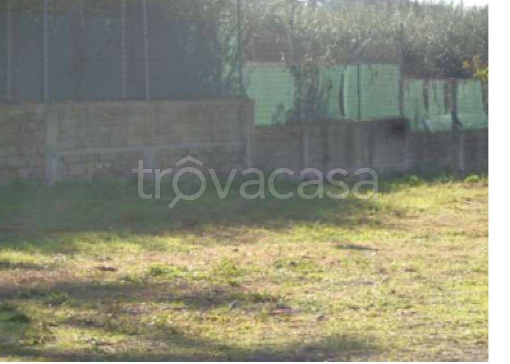 immagine annuncio 6 di 9