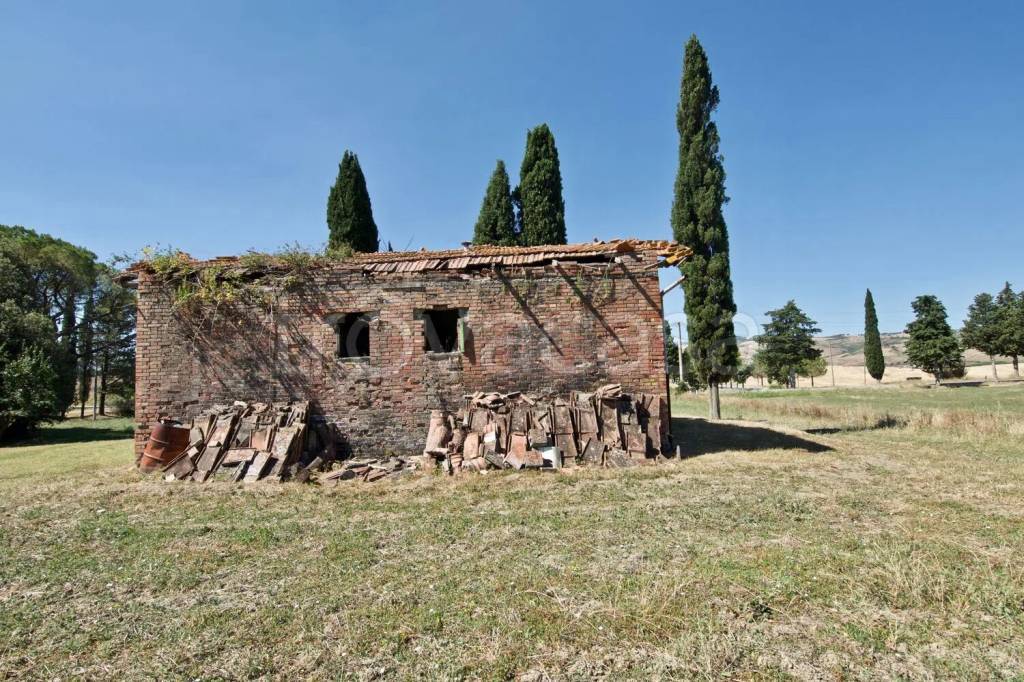 immagine annuncio 8 di 14