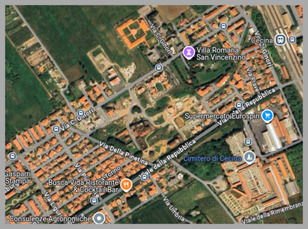 immagine annuncio 12 di 15