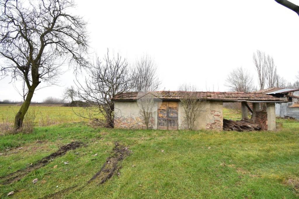 immagine annuncio 10 di 15