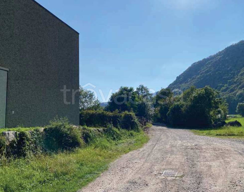 immagine annuncio 2 di 9